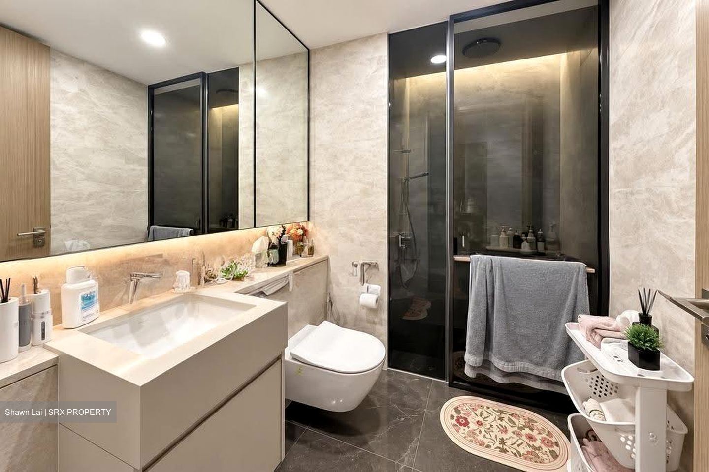 Amber Park (D15), Condominium #619809901